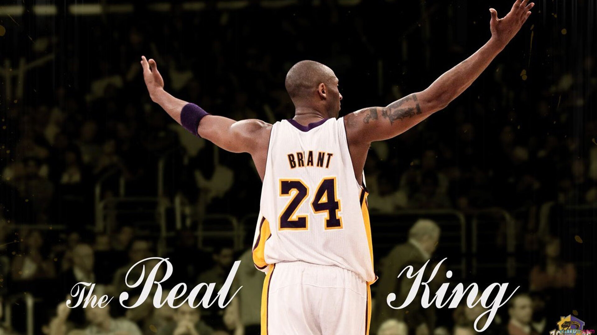 田径赛事吸引更多观众关注